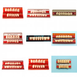 protetika / Akrylové zuby