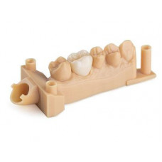 Živica Formlabs pre 3D tlačiareň Dental Model V2 1l