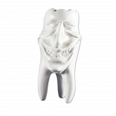 Sadrové zuby Hinrichsova zbierka zubov '' Mike ''