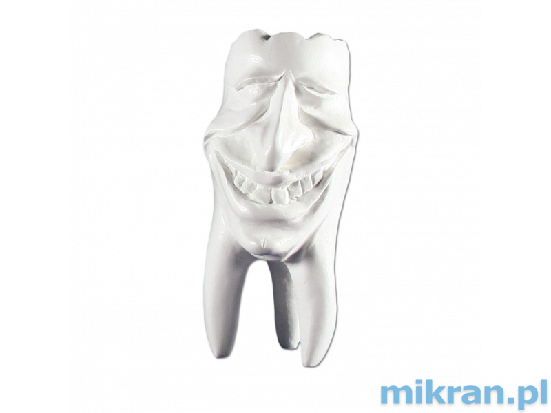 Hinrichova kolekcia zubov 'Mike' sadrové zuby