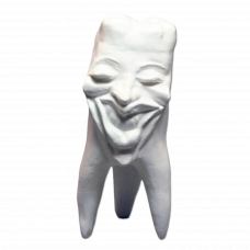 Sadrové zuby Hinrichsova zbierka zubov '' Marylin ''