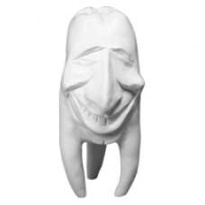 Sadrové zuby Hinrichsova zbierka zubov '' Tommy ''