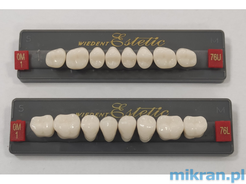 Bočné zuby Wiedent Estetic bielené OM1, OM3