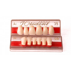 Predné zuby WIEDENT Estetic 6ks