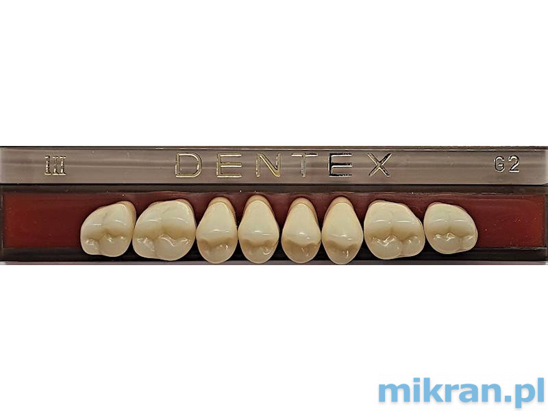 Bočné zuby Dentex 8 ks