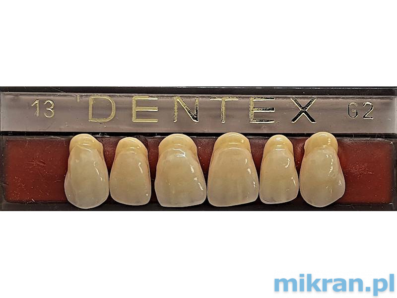 Dentex predné zuby 6 ks