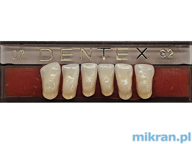 Dentex predné zuby 6 ks